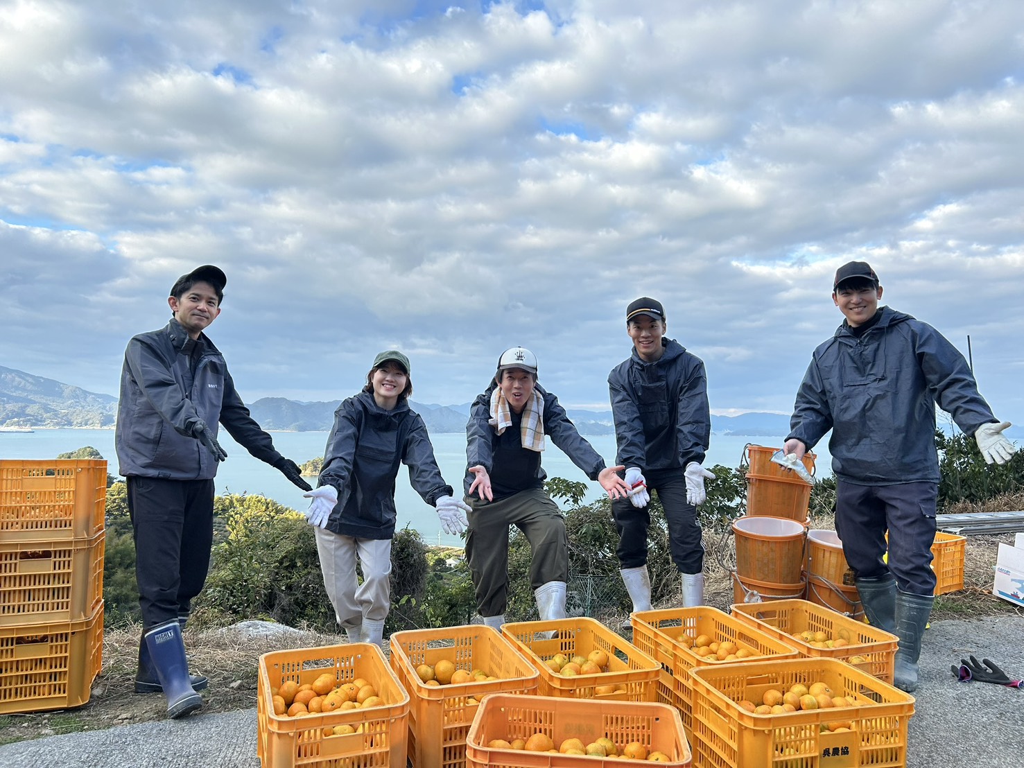 フードドライブ連携プロジェクトの様子